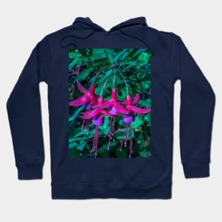 Star Bouquet Hoodie